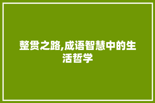 整贯之路,成语智慧中的生活哲学