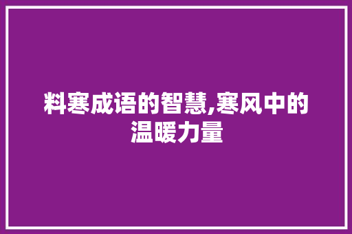 料寒成语的智慧,寒风中的温暖力量