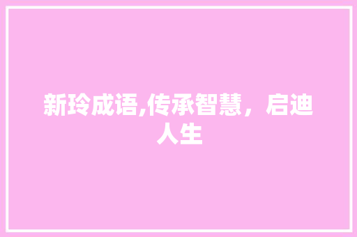 新玲成语,传承智慧，启迪人生