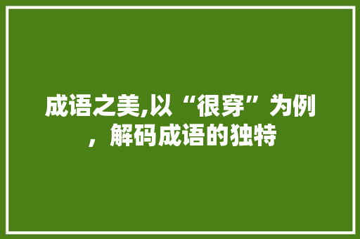 成语之美,以“很穿”为例，解码成语的独特 工作总结