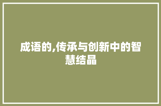 成语的,传承与创新中的智慧结晶 项目报告