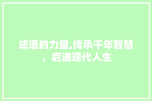 成语的力量,传承千年智慧，启迪现代人生