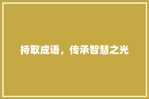 持取成语，传承智慧之光