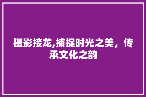 摄影接龙,捕捉时光之美，传承文化之韵