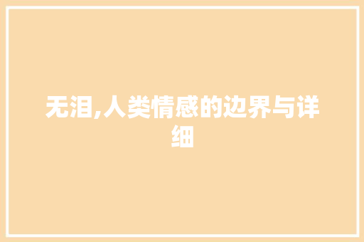 无泪,人类情感的边界与详细 项目报告
