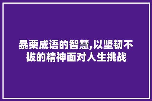暴栗成语的智慧,以坚韧不拔的精神面对人生挑战