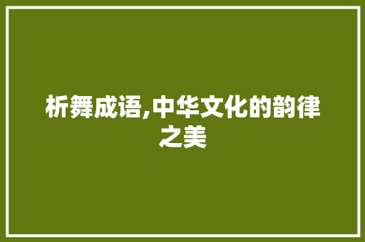 析舞成语,中华文化的韵律之美