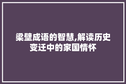 梁壁成语的智慧,解读历史变迁中的家国情怀
