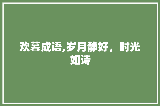欢暮成语,岁月静好，时光如诗