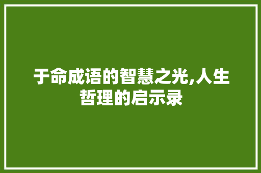 于命成语的智慧之光,人生哲理的启示录
