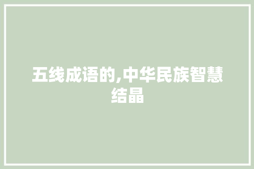 五线成语的,中华民族智慧结晶