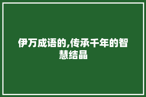 伊万成语的,传承千年的智慧结晶