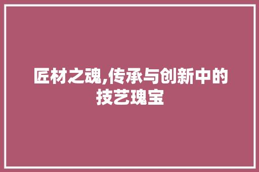 匠材之魂,传承与创新中的技艺瑰宝