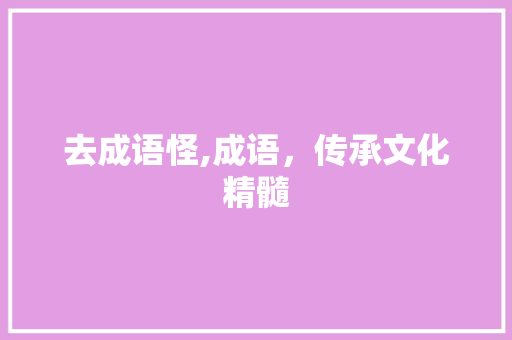 去成语怪,成语，传承文化精髓