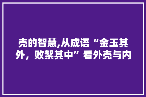 壳的智慧,从成语“金玉其外，败絮其中”看外壳与内在的辩证关系