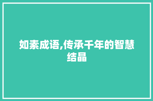 如素成语,传承千年的智慧结晶