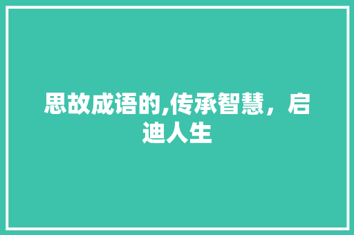 思故成语的,传承智慧，启迪人生