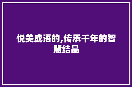 悦美成语的,传承千年的智慧结晶 项目报告