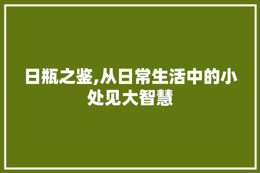 日瓶之鉴,从日常生活中的小处见大智慧