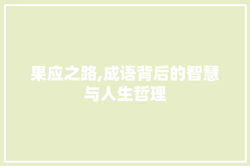 果应之路,成语背后的智慧与人生哲理