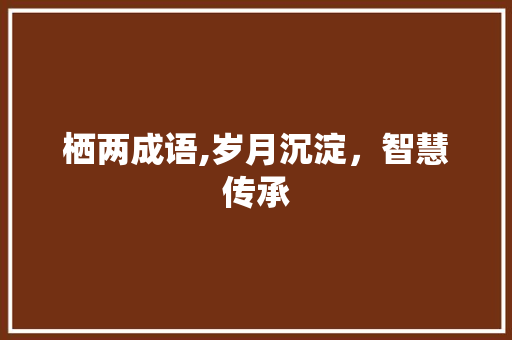 栖两成语,岁月沉淀，智慧传承