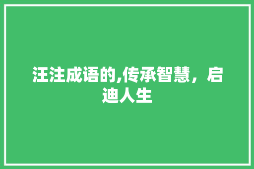 汪注成语的,传承智慧，启迪人生