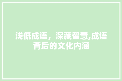 浅低成语，深藏智慧,成语背后的文化内涵