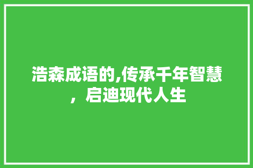 浩森成语的,传承千年智慧，启迪现代人生 会议纪要