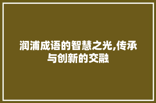 润浦成语的智慧之光,传承与创新的交融