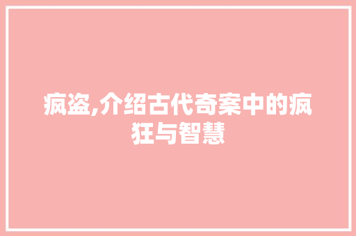 疯盗,介绍古代奇案中的疯狂与智慧