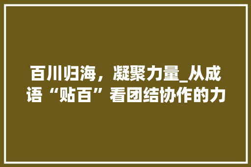 百川归海，凝聚力量_从成语“贴百”看团结协作的力量 职场写作