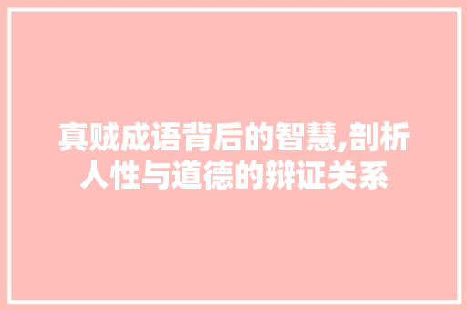 真贼成语背后的智慧,剖析人性与道德的辩证关系 会议纪要