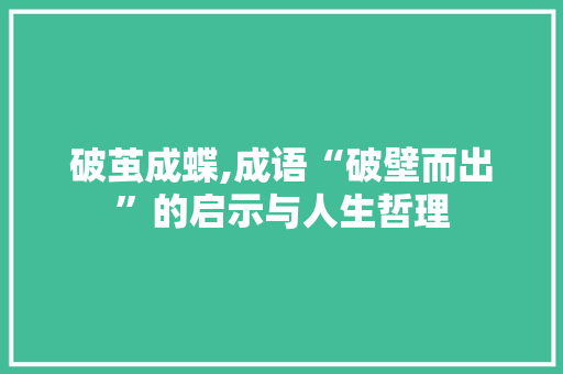 破茧成蝶,成语“破壁而出”的启示与人生哲理