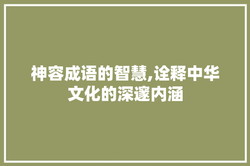 神容成语的智慧,诠释中华文化的深邃内涵