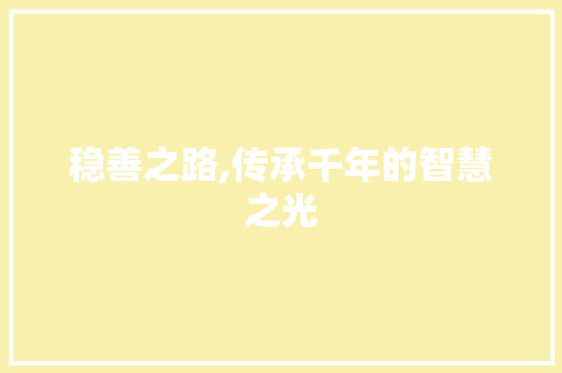 稳善之路,传承千年的智慧之光