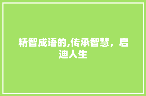 精智成语的,传承智慧，启迪人生