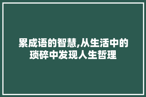 累成语的智慧,从生活中的琐碎中发现人生哲理 应用文
