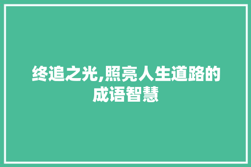 终追之光,照亮人生道路的成语智慧 诗词应用