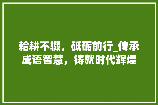 耠耕不辍，砥砺前行_传承成语智慧，铸就时代辉煌