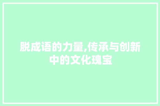 脱成语的力量,传承与创新中的文化瑰宝 会议纪要