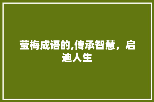 莹梅成语的,传承智慧，启迪人生