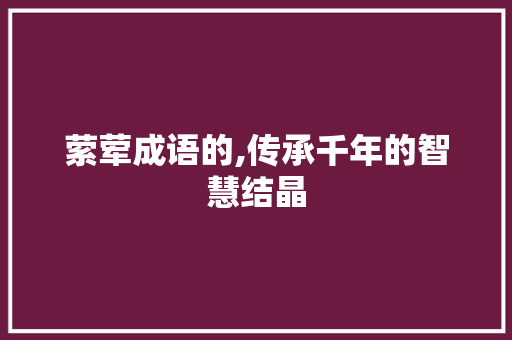 萦荤成语的,传承千年的智慧结晶
