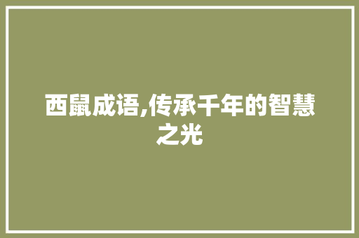 西鼠成语,传承千年的智慧之光 诗词体裁