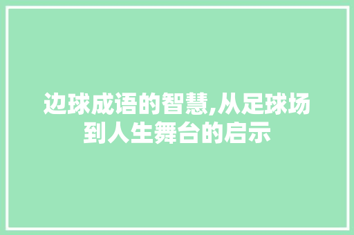 边球成语的智慧,从足球场到人生舞台的启示