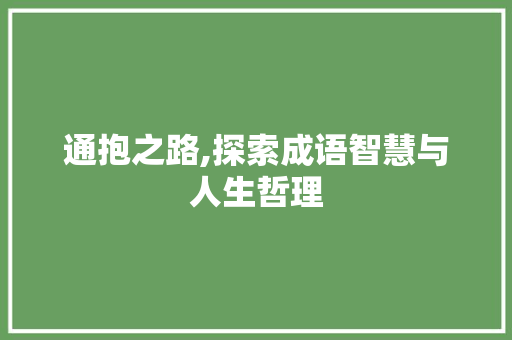 通抱之路,探索成语智慧与人生哲理