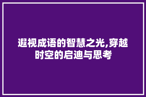 遐视成语的智慧之光,穿越时空的启迪与思考