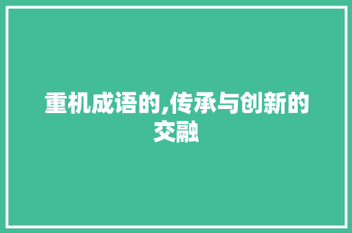 重机成语的,传承与创新的交融 项目报告