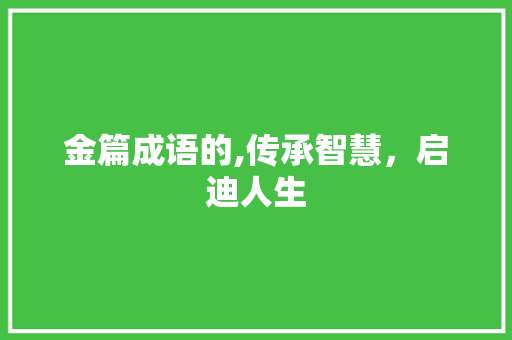 金篇成语的,传承智慧，启迪人生