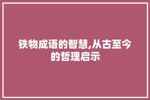 铁物成语的智慧,从古至今的哲理启示