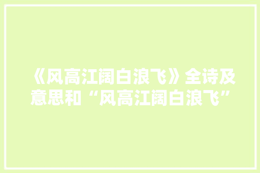 《风高江阔白浪飞》全诗及意思和“风高江阔白浪飞”的拼音注释